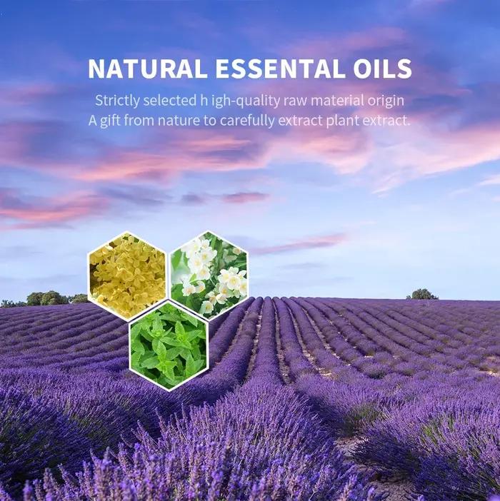 NAMSTE 500ML huiles aromatiques parfum huile essentielle plante Pure