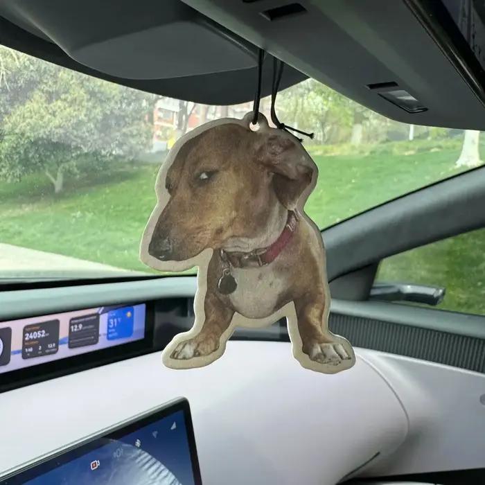 Crooked Dog Expression Pack Parfum d'ambiance pour voiture senteur Brise marine des Bahamas (Saveur romantique) et Désodorisant non toxique | Huiles essentielles naturelles et comprimés parfumés d