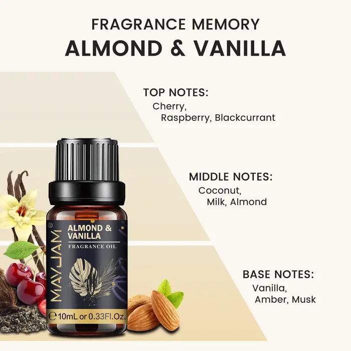 MAYJAM huile parfumée pour humidificateur diffuseur bougie faisant vanille musc Dragons sang gomme à bulles brise de mer bébé poudre arôme