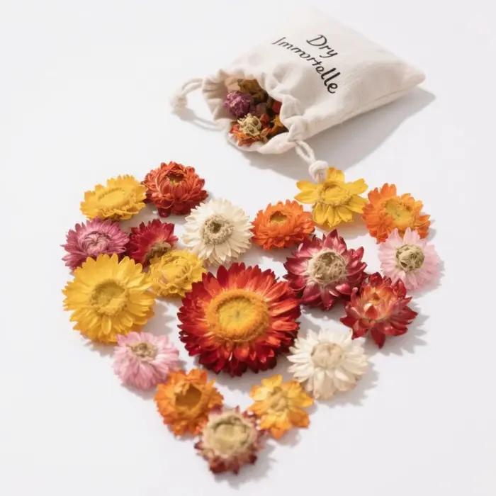 Bougie Essence d'Immortelle Premium Naturelle Helichrysum Fleurs Séchées Pour Décoration Maison Occasions Spéciales Fraîcheur Tranquillité