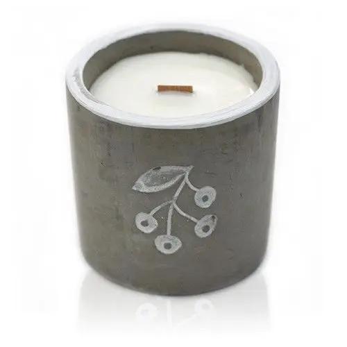 Med Concrete Soy Candle - Berrys - Juniper & Sweet Gin