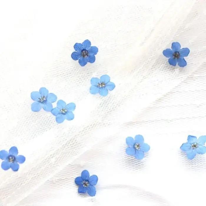 Fleurs Séchées "Ne vous en Souvenez Pas" en Soie Lavande pour Décoration Intérieure et Création Artisanale Occasions Spéciales