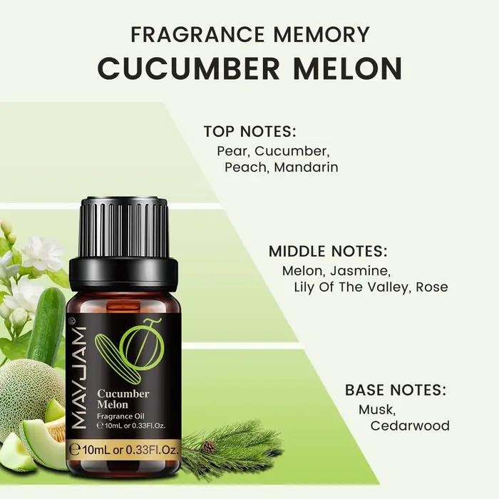 MAYJAM huile parfumée pour humidificateur diffuseur bougie faisant vanille musc Dragons sang gomme à bulles brise de mer bébé poudre arôme