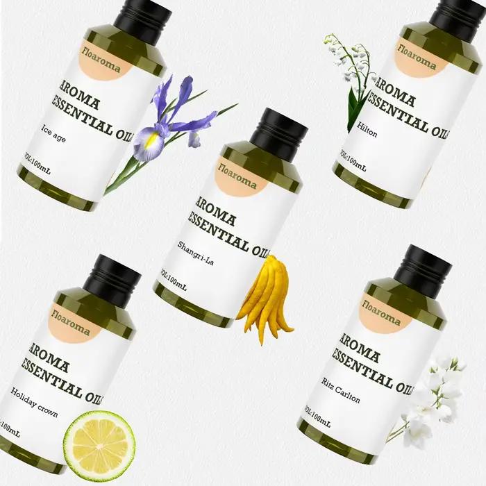 Diffuseur d'huile aromatique avec ventilateur à l'intérieur, désodorisant pour hôtel, parfum de grande surface pour la maison, 100ml
