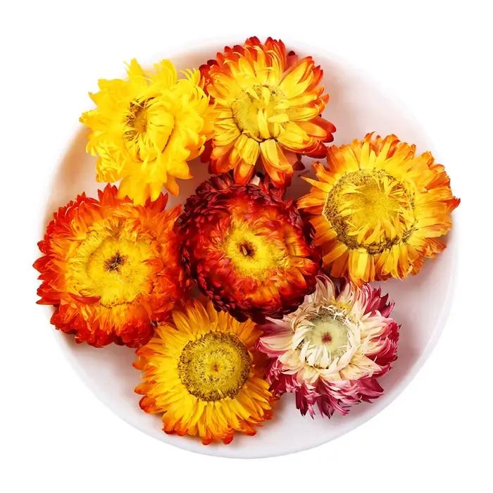 Premium naturel Immortelle décor à la maison Helichrysum fleur séchée bougie Essence arôme pour savo