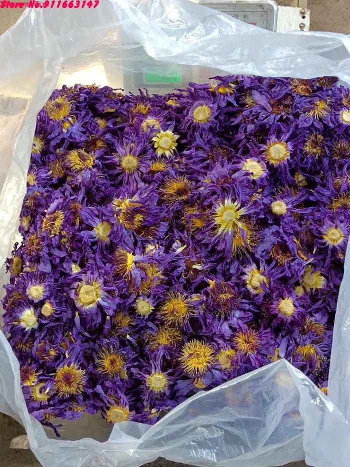 Fleur sèche de fleur de Lotus aromatique de qualité supérieure