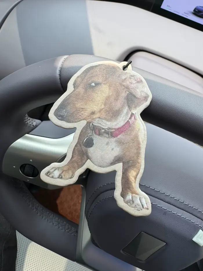 Crooked Dog Expression Pack Parfum d'ambiance pour voiture senteur Brise marine des Bahamas (Saveur romantique) et Désodorisant non toxique | Huiles essentielles naturelles et comprimés parfumés d