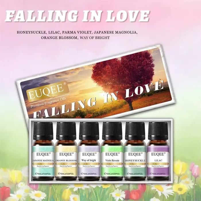 EUQEE 6 pièces ensemble d'huile de parfum d'aromathérapie-10ml huiles de diffuseur de roseau d'arôme pour la fabrication de bougies, humidificateur, parfum de bricolage, brûleur d'huile