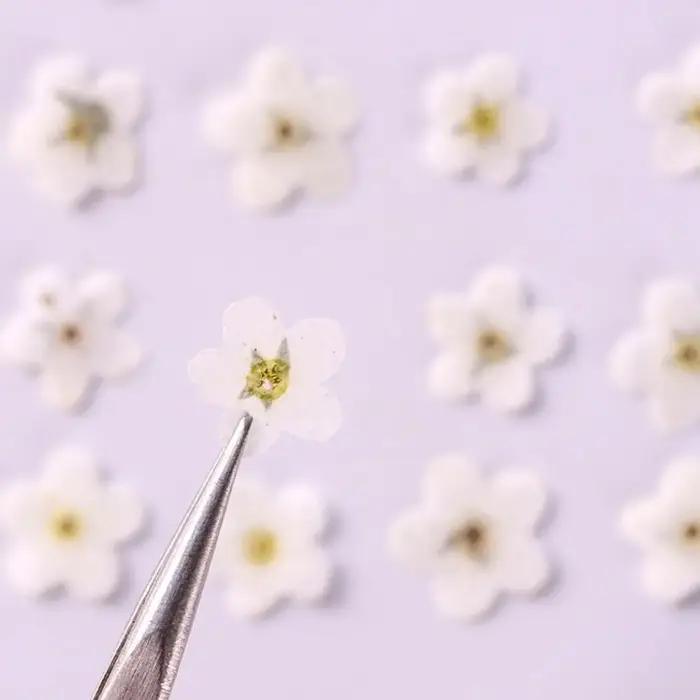 Fleurs Séchées "Ne vous en Souvenez Pas" en Soie Lavande pour Décoration Intérieure et Création Artisanale Occasions Spéciales