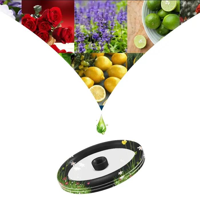 Diffuseur de parfum d'aromathérapie pour l'intérieur de la voiture