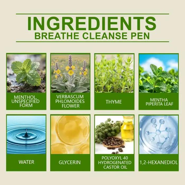 Diffuseur Purificateur d'Herbes 4-en-1 : Molène