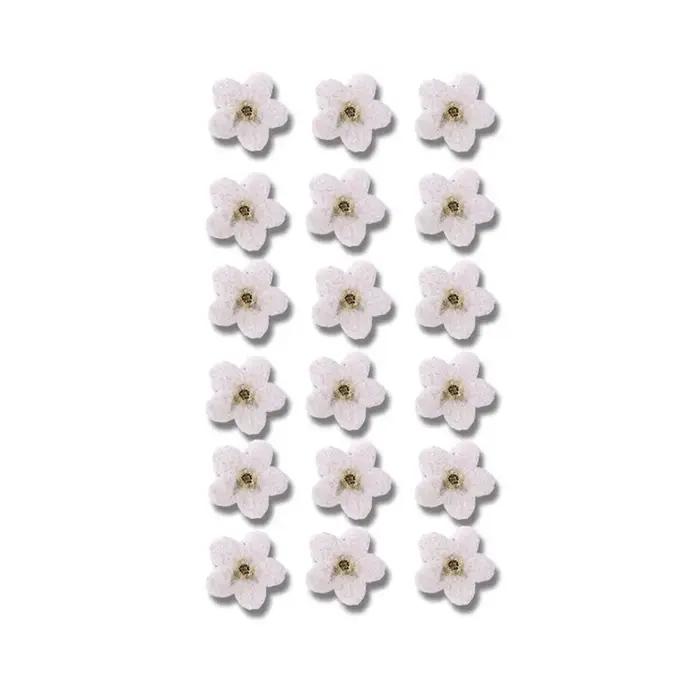 Fleurs Séchées "Ne vous en Souvenez Pas" en Soie Lavande pour Décoration Intérieure et Création Artisanale Occasions Spéciales