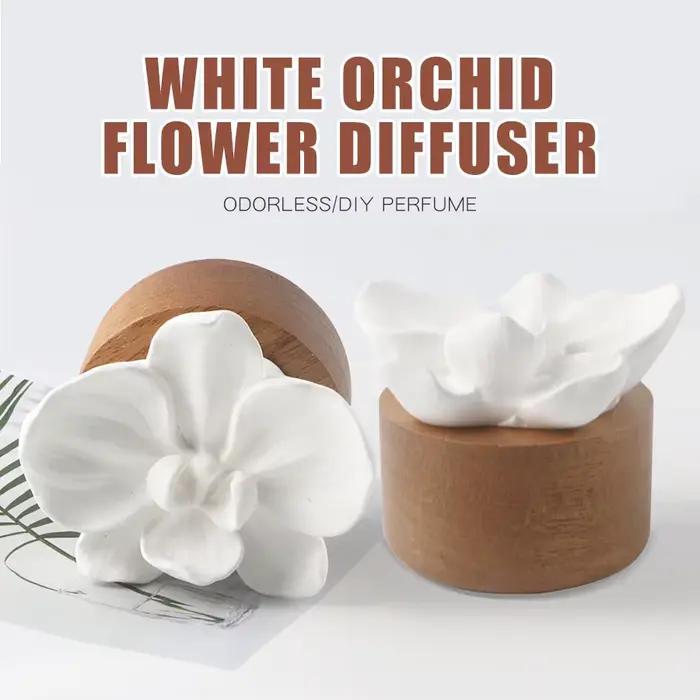 Inodore bricolage parfum pierre fleur ornements maison arôme diffuseur salon