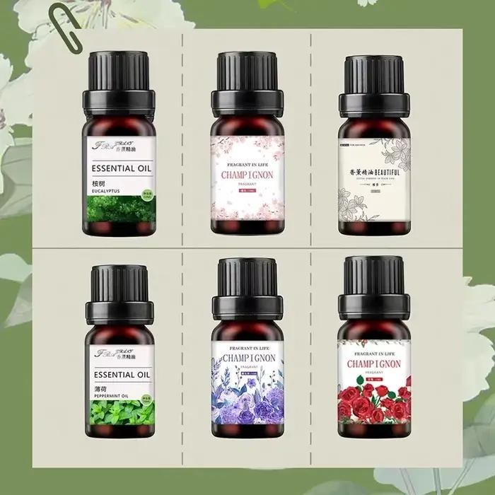 Huiles essentielles aromathérapie végétale 19 saveurs parfum d'ambiance pour purifier et embellir votre maison occasions spéciales
