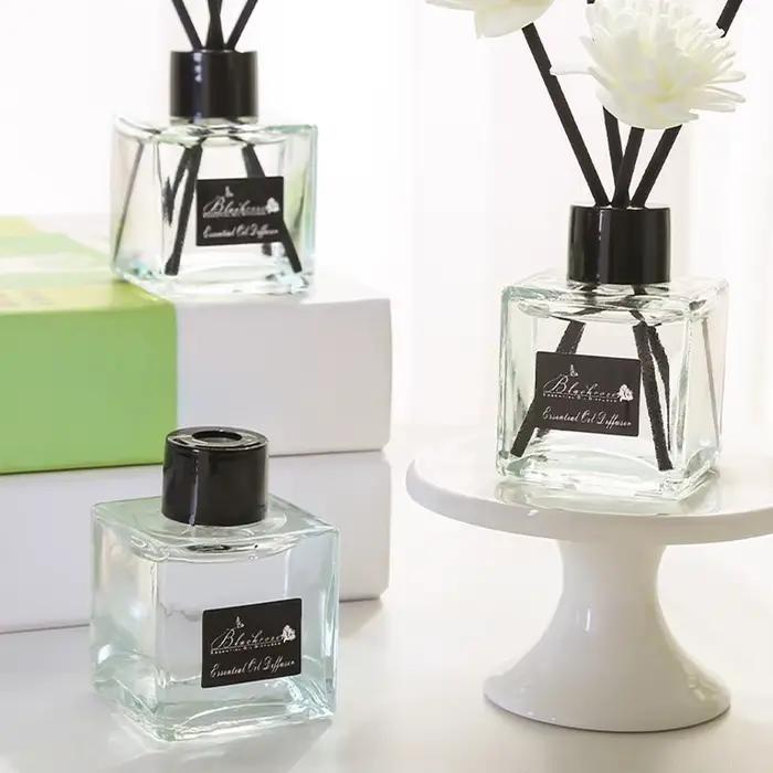 Diffuseur d'arômes 50 ml pour la maison et la voiture