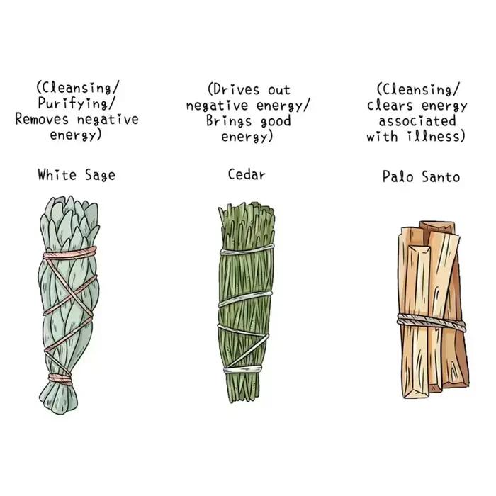 Bundle de sauge blanche et baguette de anciers de bavure de Californie
