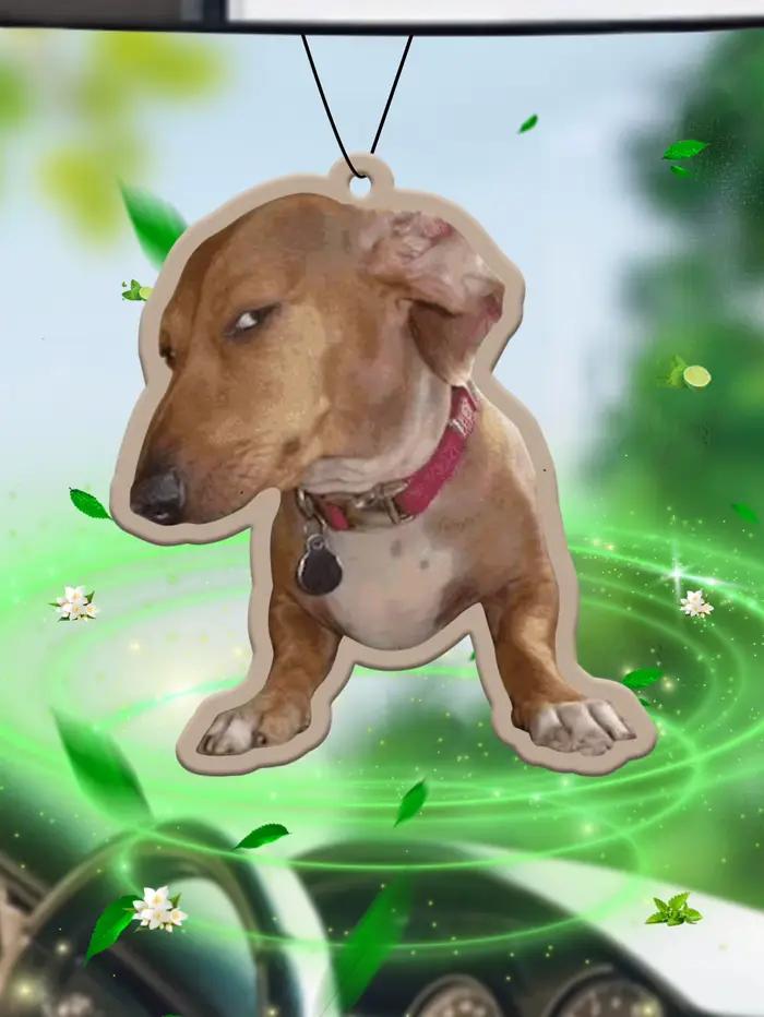 Crooked Dog Expression Pack Parfum d'ambiance pour voiture senteur Brise marine des Bahamas (Saveur romantique) et Désodorisant non toxique | Huiles essentielles naturelles et comprimés parfumés d