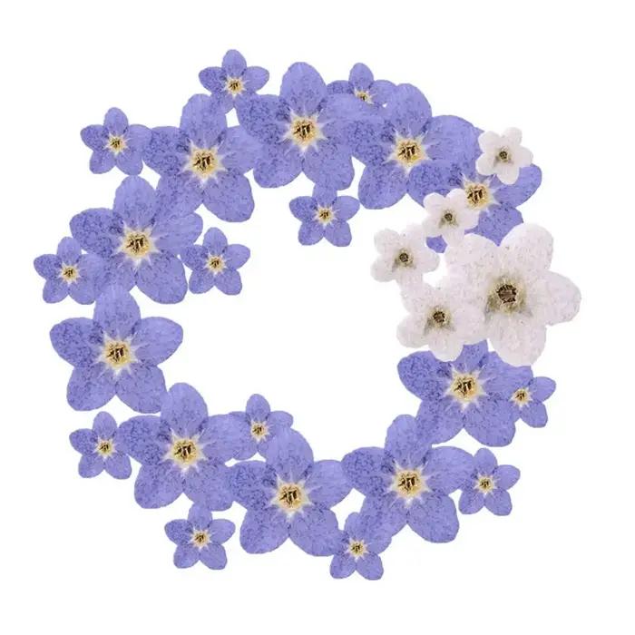 Fleurs Séchées "Ne vous en Souvenez Pas" en Soie Lavande pour Décoration Intérieure et Création Artisanale Occasions Spéciales