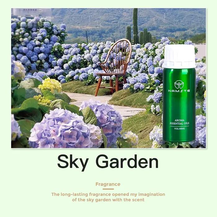 Diffuseur d'arôme parfum huile parfumée pur désodorisant pour diffuseurs
